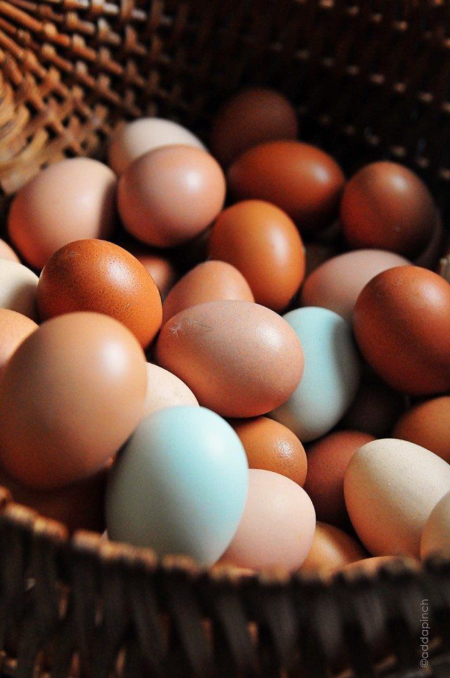 Fresh Eggs