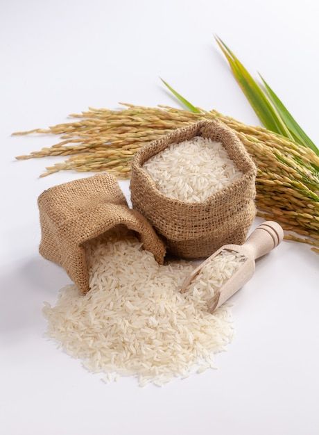 White Rice